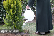 کاشت نهال توسط رهبر انقلاب