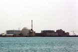 مدیرعامل روس‌اتم از بازگشت متخصصان روسی به نیروگاه بوشهر خبر داد