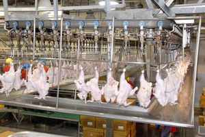 ارز ترجیحی برای نهاده ها حداقل تا پایان فصل بهار پابرجاست