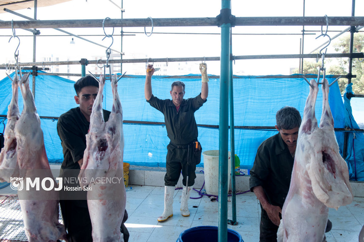 خرید و ذبح دام عید قربان در تهران