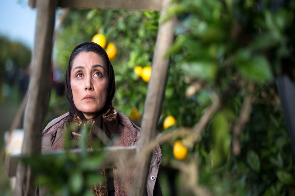 فیلم سینمایی روزهای نارنجی