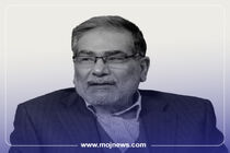 اینفوگرافیک/مروری بر زندگی و کارنامه فعالیت‌های شهیددریابان علی شمخانی 