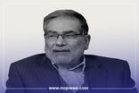 اینفوگرافیک/مروری بر زندگی و کارنامه فعالیت‌های شهیددریابان علی شمخانی 