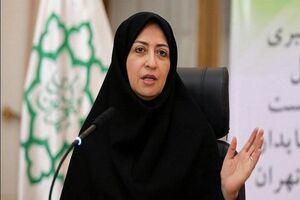 اصلاح قانون حمل سلاح به صحن مجلس در آینده نزدیک ارائه می‌شود