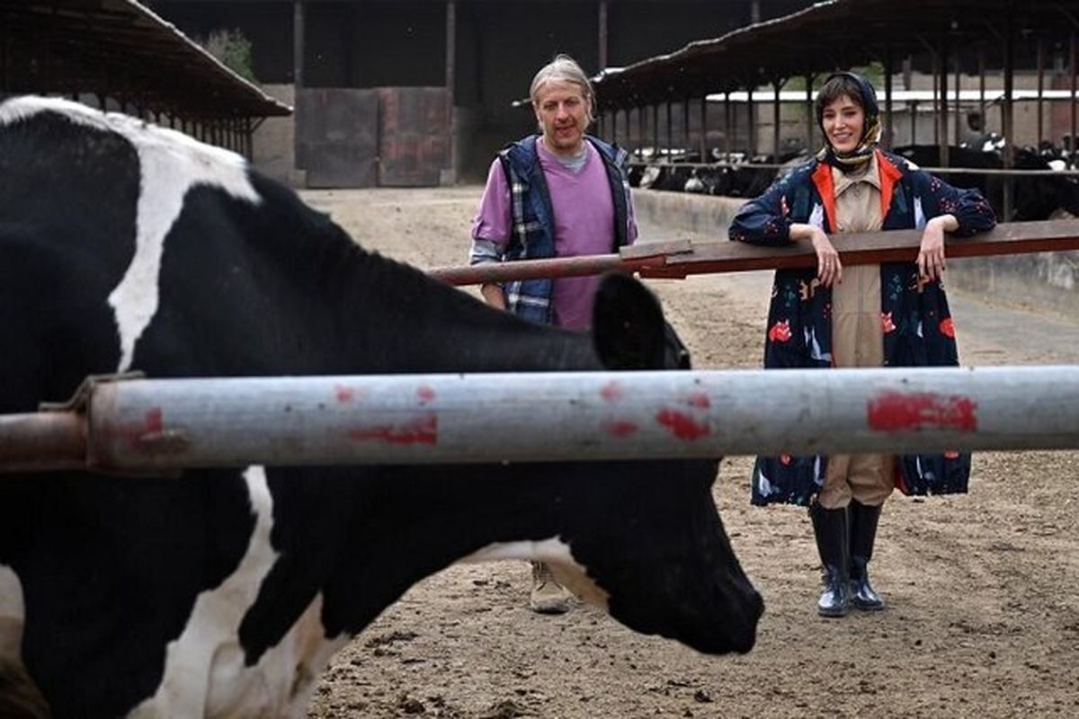 فیلم سینمایی چرا گریه نمی‌کنی؟