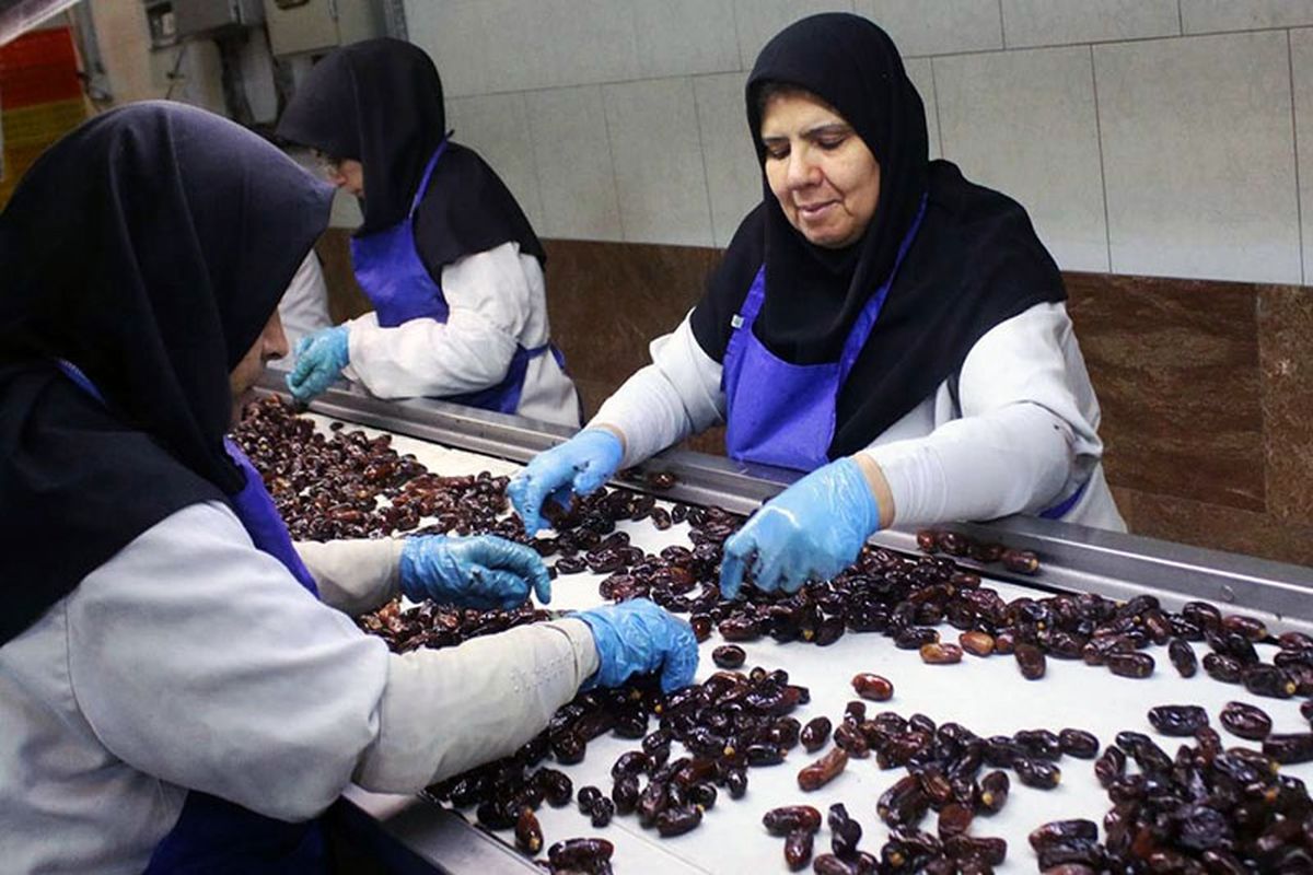 بسته بندی و فرآوری خرما