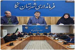 فرماندار نکا بر انسجام اجرایی و رعایت دقیق قانون در برگزاری انتخابات تاکید کرد