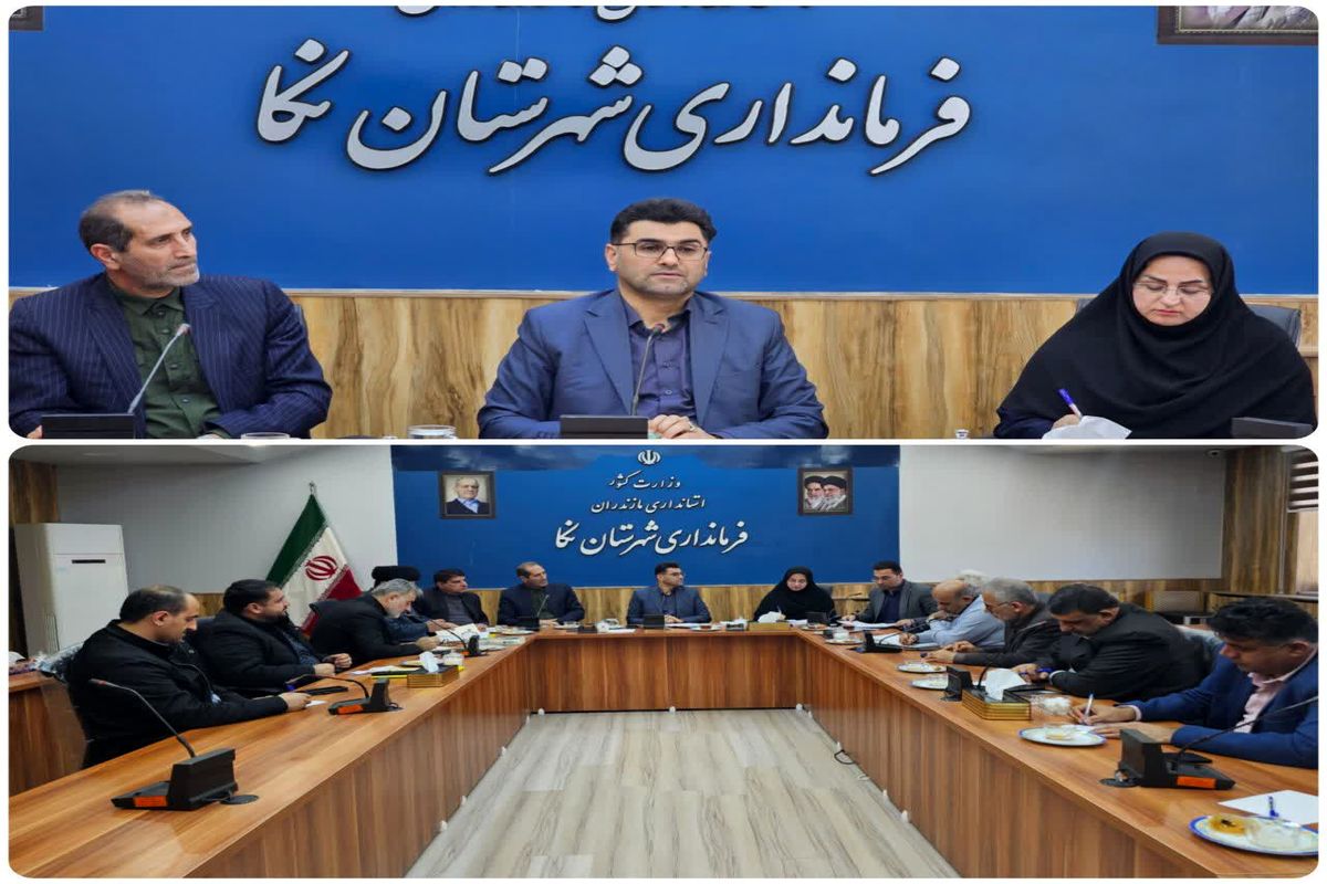 فرماندار نکا