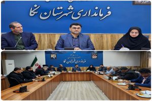 فرماندار نکا بر انسجام اجرایی و رعایت دقیق قانون در برگزاری انتخابات تاکید کرد