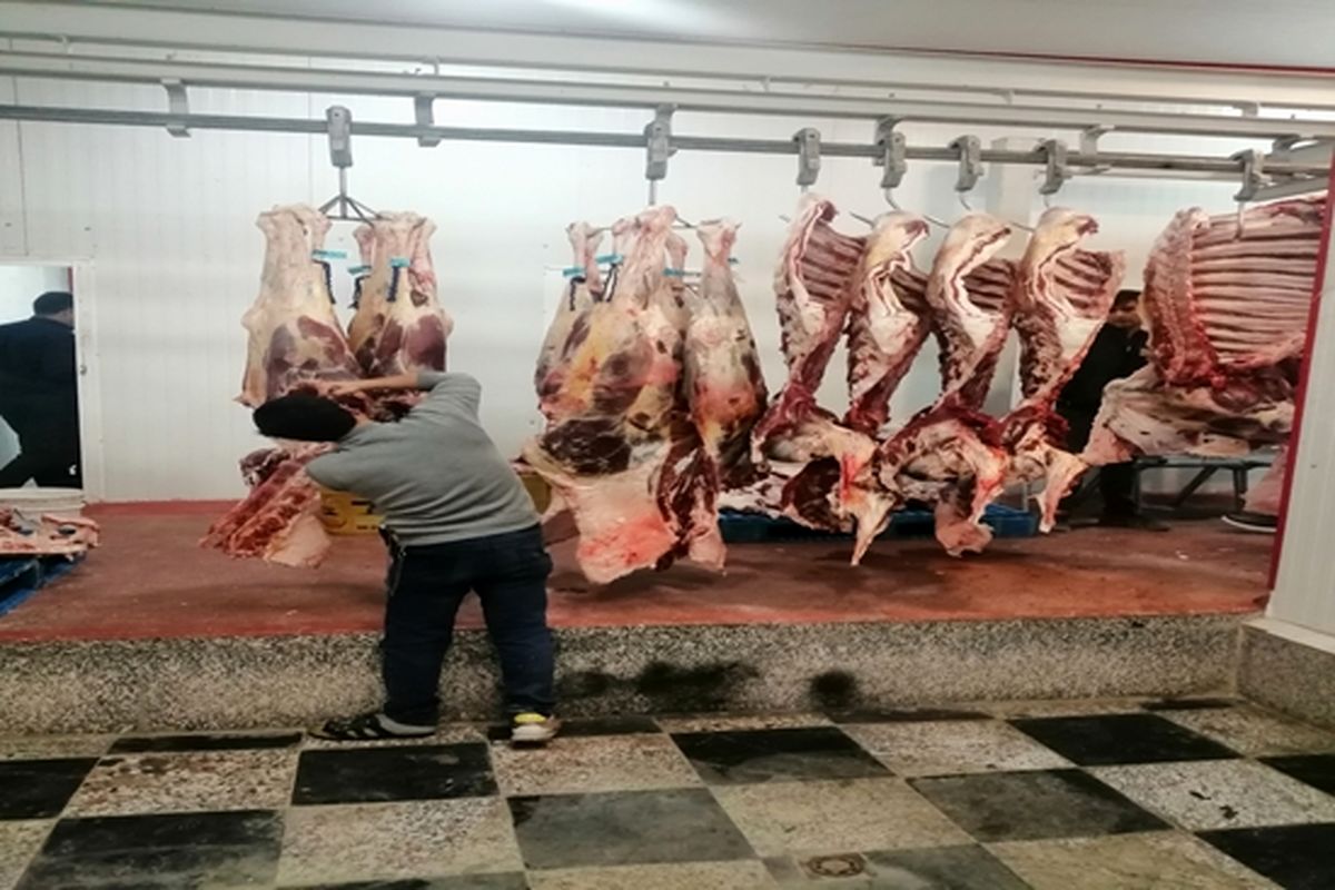 لاشه گوسفند غیر بهداشتی