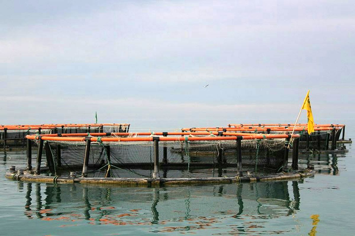 سواحل کم عمق بندرترکمن