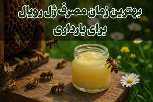 بهترین زمان مصرف ژل رویال برای بارداری چه موقع است؟