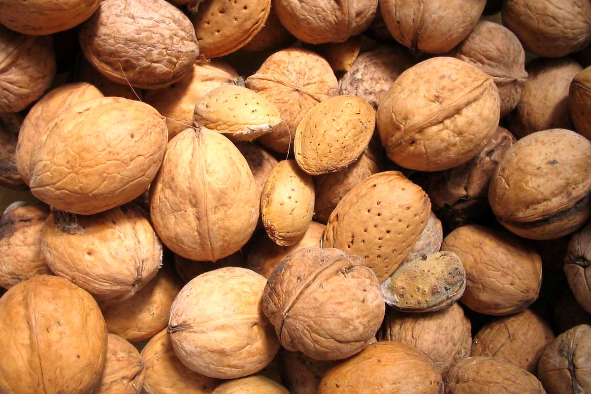 بادام و گردو