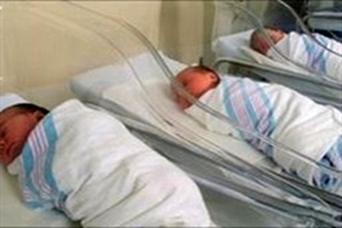 افزایش زاد و ولد