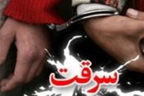 ۴۹ باند سرقت در استان گلستان مهندم شد