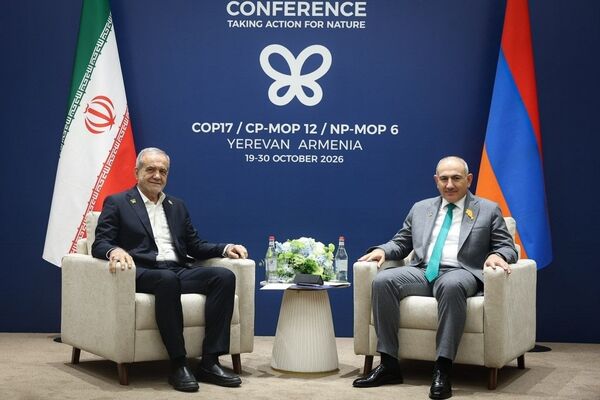 برنامه راهبردی و بلند مدت همکاری‌های مشترک تجاری و اقتصادی ایران و ارمنستان تدوین می‌شود