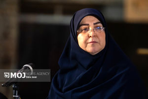 بازسازی مناطق آسیب‌دیده بوشهر با فوریت در دستور کار دولت است