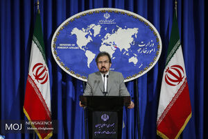 سخنگوی وزارت خارجه نسبت به تداوم وضعیت اسفناک مسلمانان میانمار ابراز نگرانی کرد