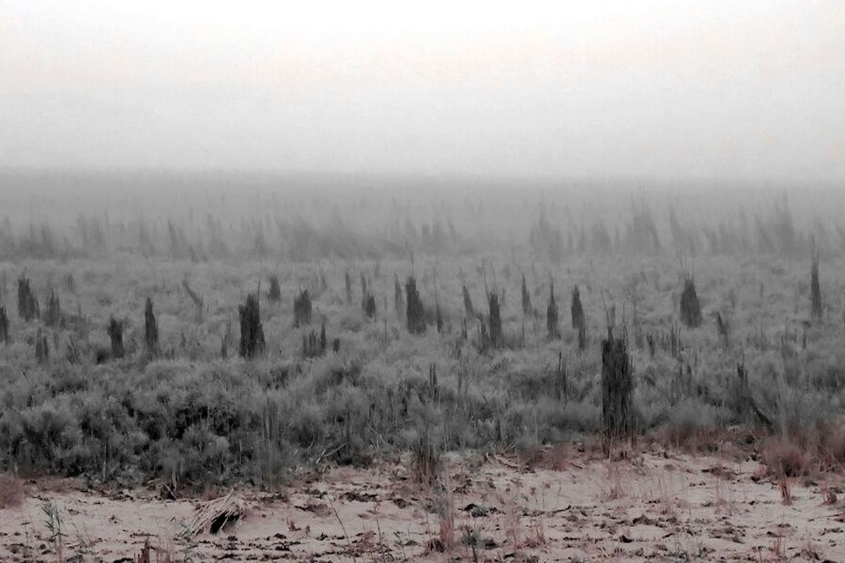 تالاب هورالعظیم