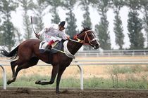 برگزاری هفته چهارم مسابقات اسبدوانی کورس پاییزه در گنبدکاووس 