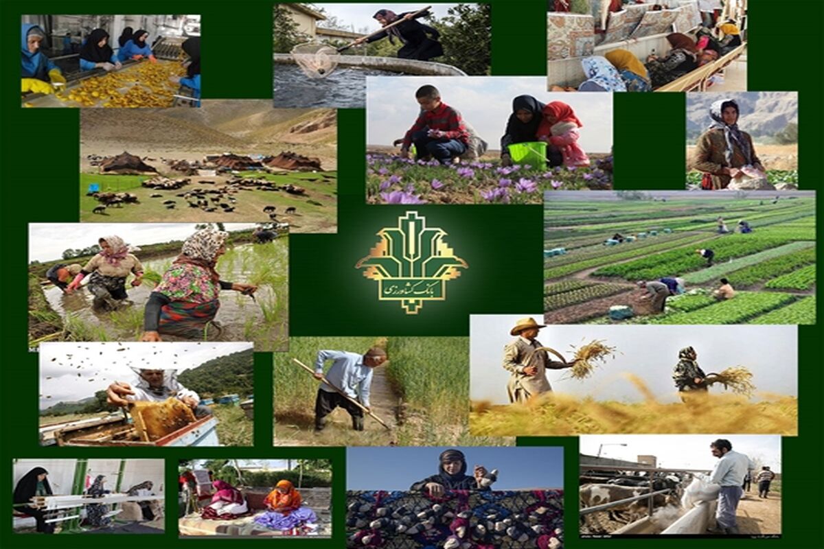کشاورزی.