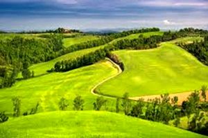 حفاظت از جنگل ها و مراتع با پیچیدگی روبروست