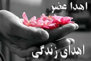 اهدای اعضای جوان مرگ مغزی در اصفهان