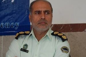 189متهم جرائم اقتصادی در ایلام دستگیر شدند
