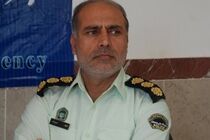 189متهم جرائم اقتصادی در ایلام دستگیر شدند