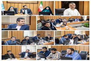 برنامه های شبکه جوانان رضوی در دهه کرامت