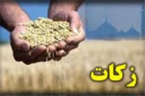 برای افزایش جذب زکات در منطقه اقدام شود