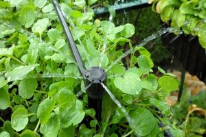 توصیه‌های 3روزه هواشناسی کشاورزی