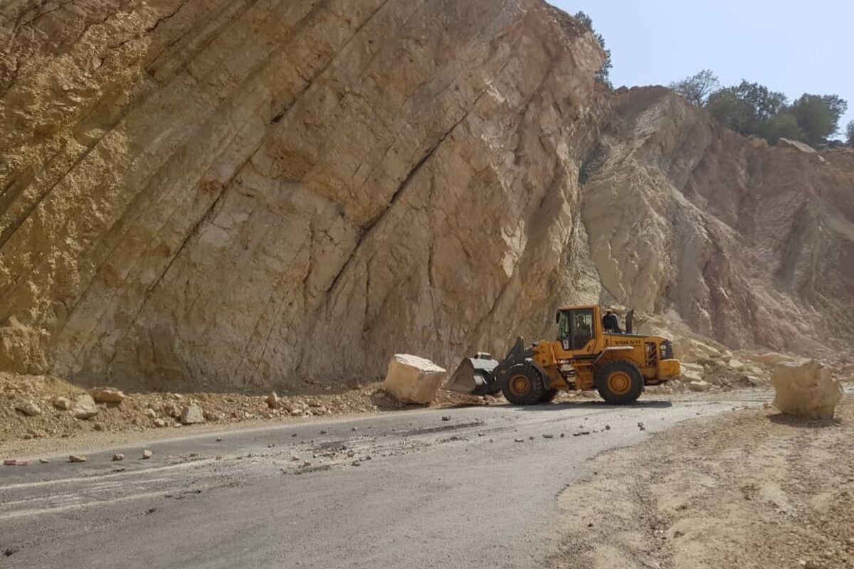 ریزش برداری
