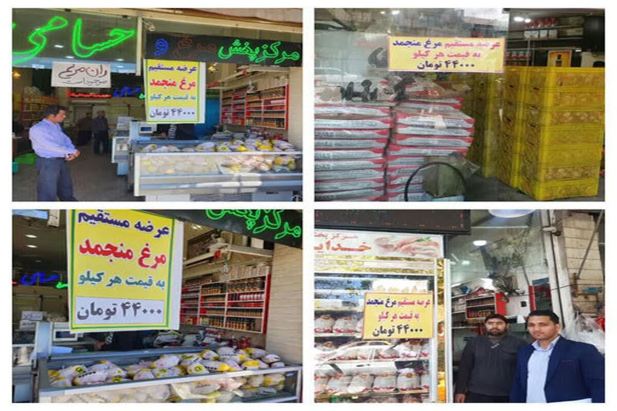توزیع مرغ جهاد کشاورزی آذربایجان شرقی 