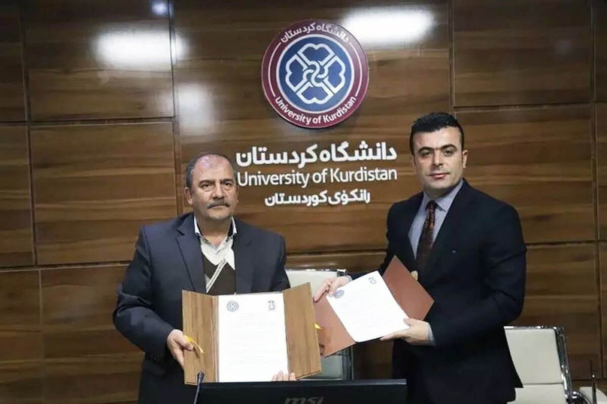دانشگاه