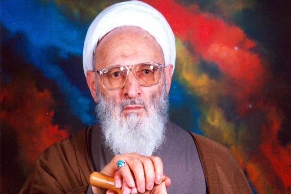 علامه حسن زاده آملی 2