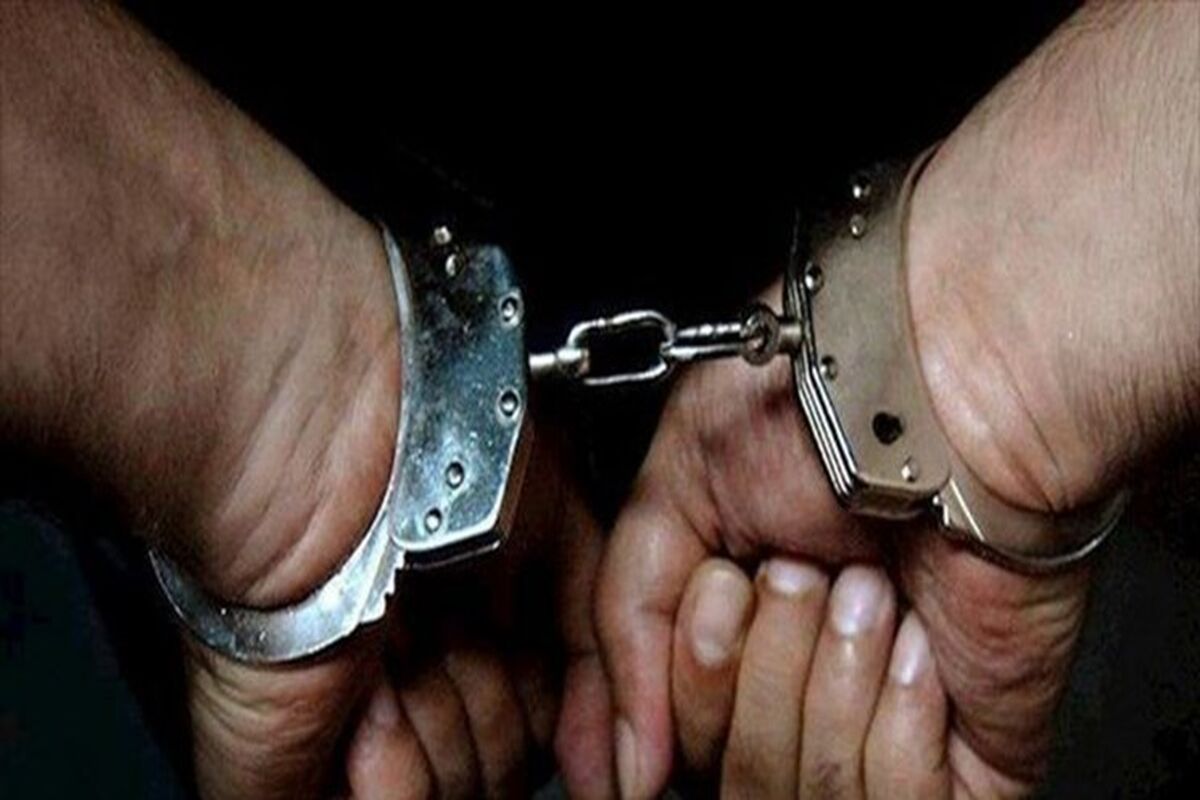 ناجا دستگیری