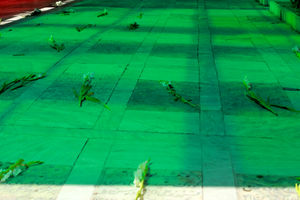 ساماندهی دو گلزار شهید در قم اتمام یافت