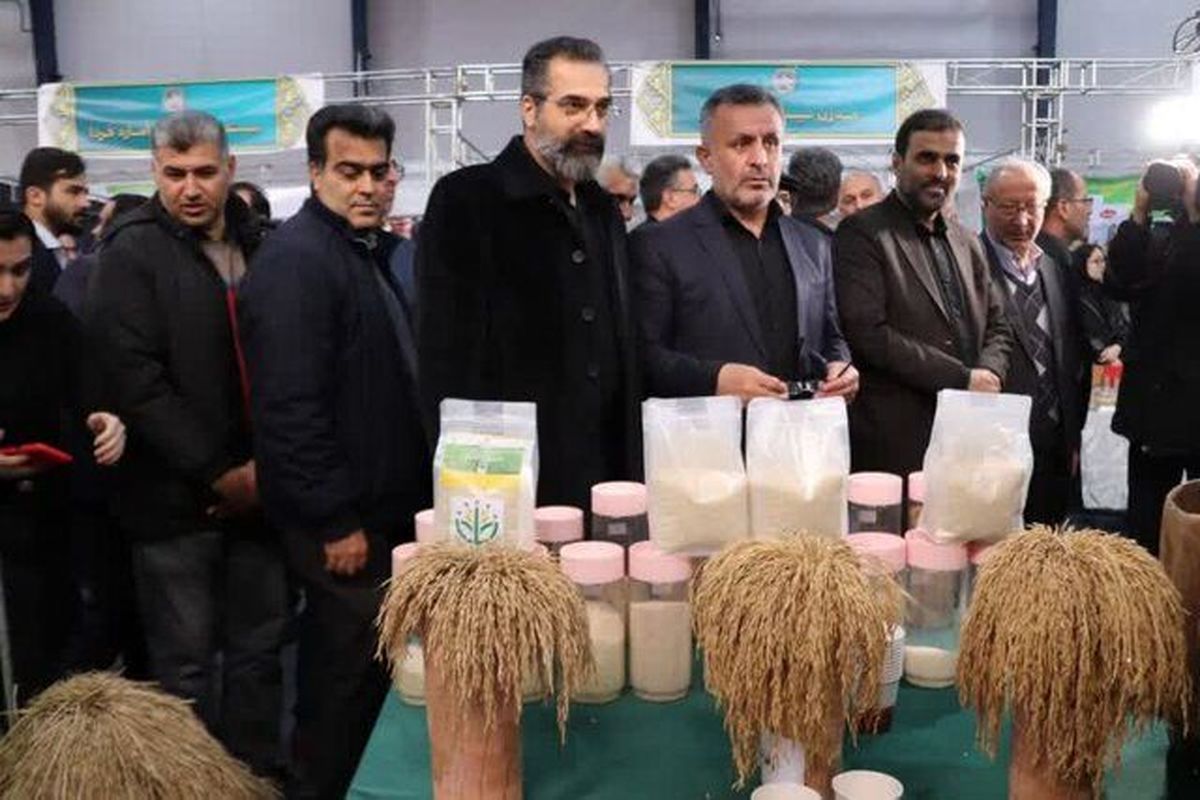 فرمانداری آمل 