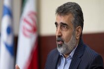 آمادگی کامل سازمان انرژی اتمی برای ادامه فعالیت