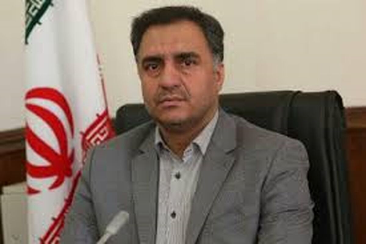 مدیرکل دفتر امور روستایی استانداری