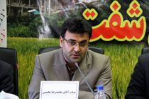 وجود 32 هزار هکتار جنگل در شهرستان شفت