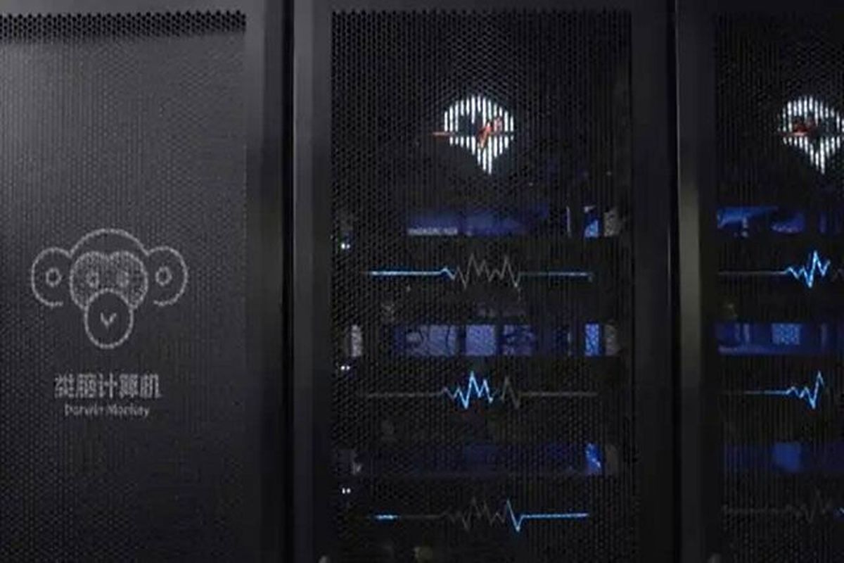 داروین مانکی