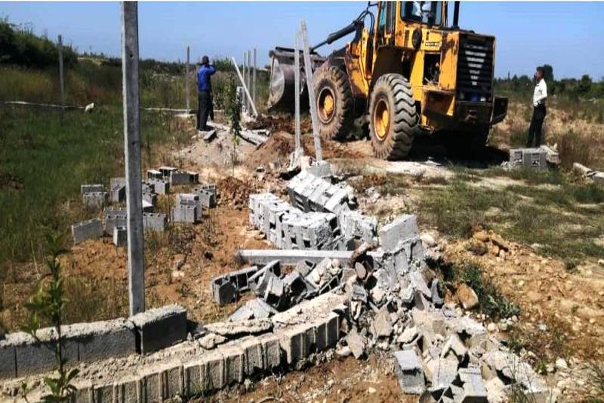 قلع و قمع در ساری 1401