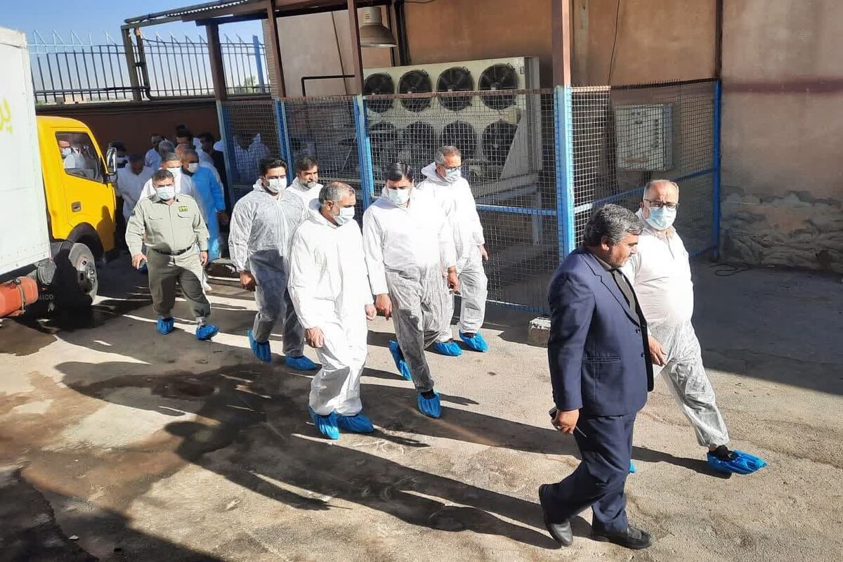 عکس خبر دامپزشکی