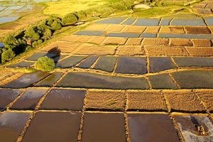 یکپارچه سازی اراضی کشاورزی در سطح 1849 هکتار در هشت ماهه سالجاری