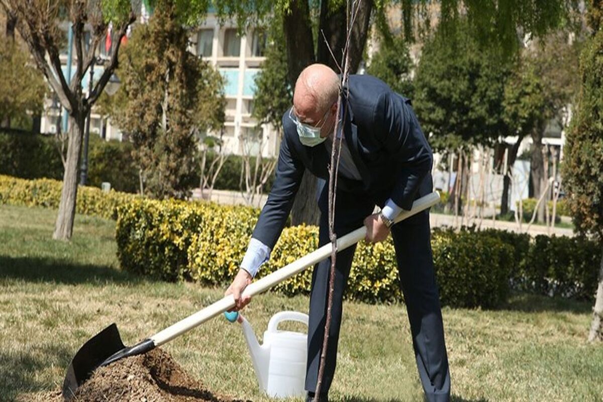 قالیباف