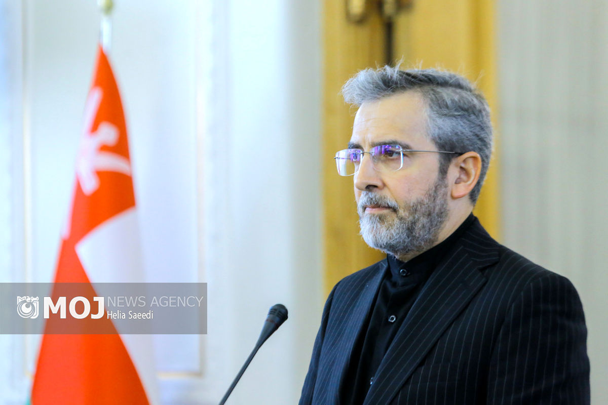 دیدار وزیر امور خارجه عمان با علی باقری