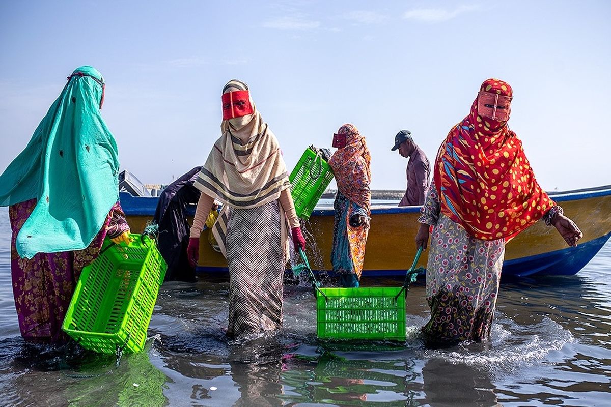 بانوان صیاد