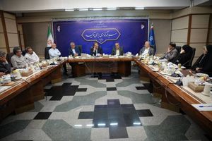 افزایش مزیت رقابتی تولیدکنندگان داخلی با ارایه تسهیلات ارزان قیمت و مشوق‌ها